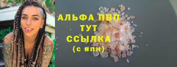 твердый Дмитровск