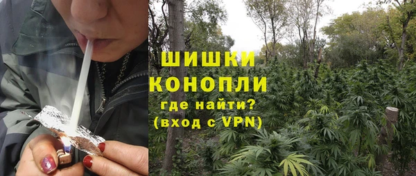 твердый Дмитровск