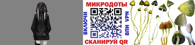 Купить  Снежногорск  Галлюциногенные грибы MAGIC MUSHROOMS 