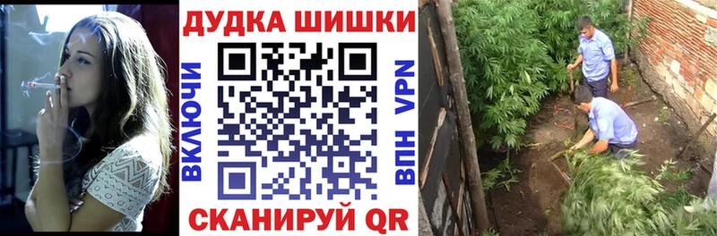 Купить  Снежногорск  Канабис SATIVA & INDICA 